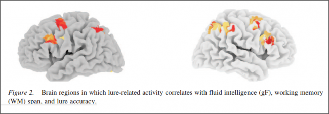 interference-brain-regions