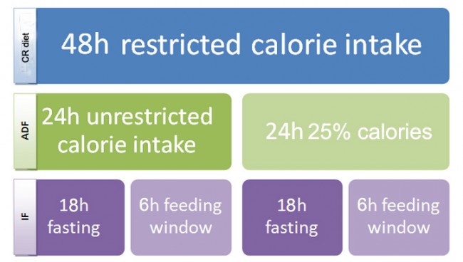 types of caloric restriction diet