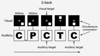 working memory training