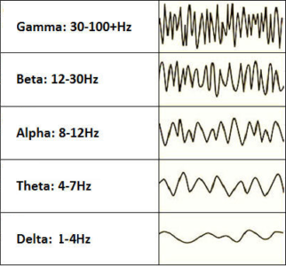 brain waves