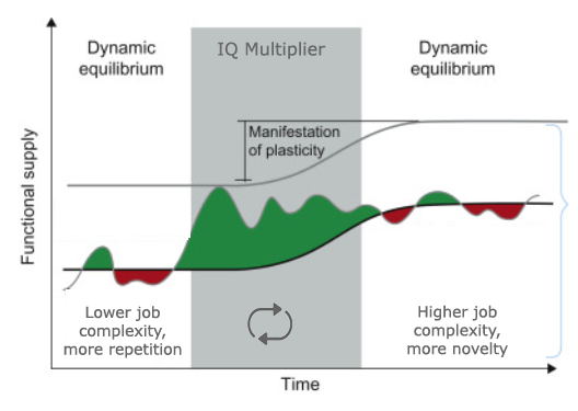 Jordan Peterson on IQ 3 - IQ Mindware: Solve, Adapt and