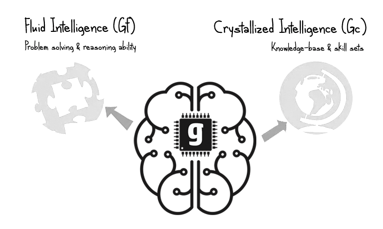 fluid and crystallized intelligence