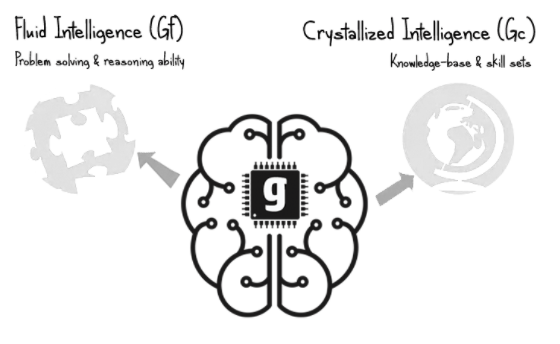 fluid intelligence and crystallized intelligence - Gf and Gc