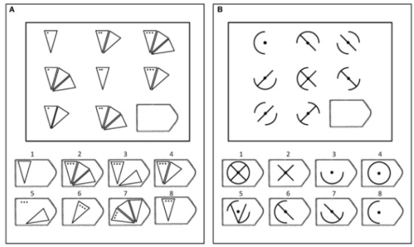 Matrices IQ test questions