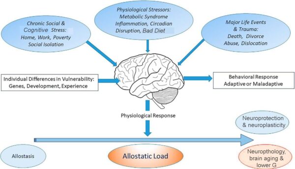 allostasis - iq