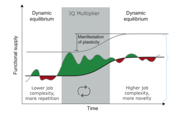 Multiplier effect for intelligence IQ